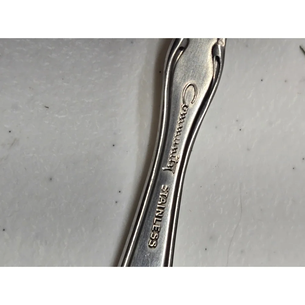 Oneida Community Stainless Morning‎ Rose Salad Fork and Enchantment Teaspoon Set